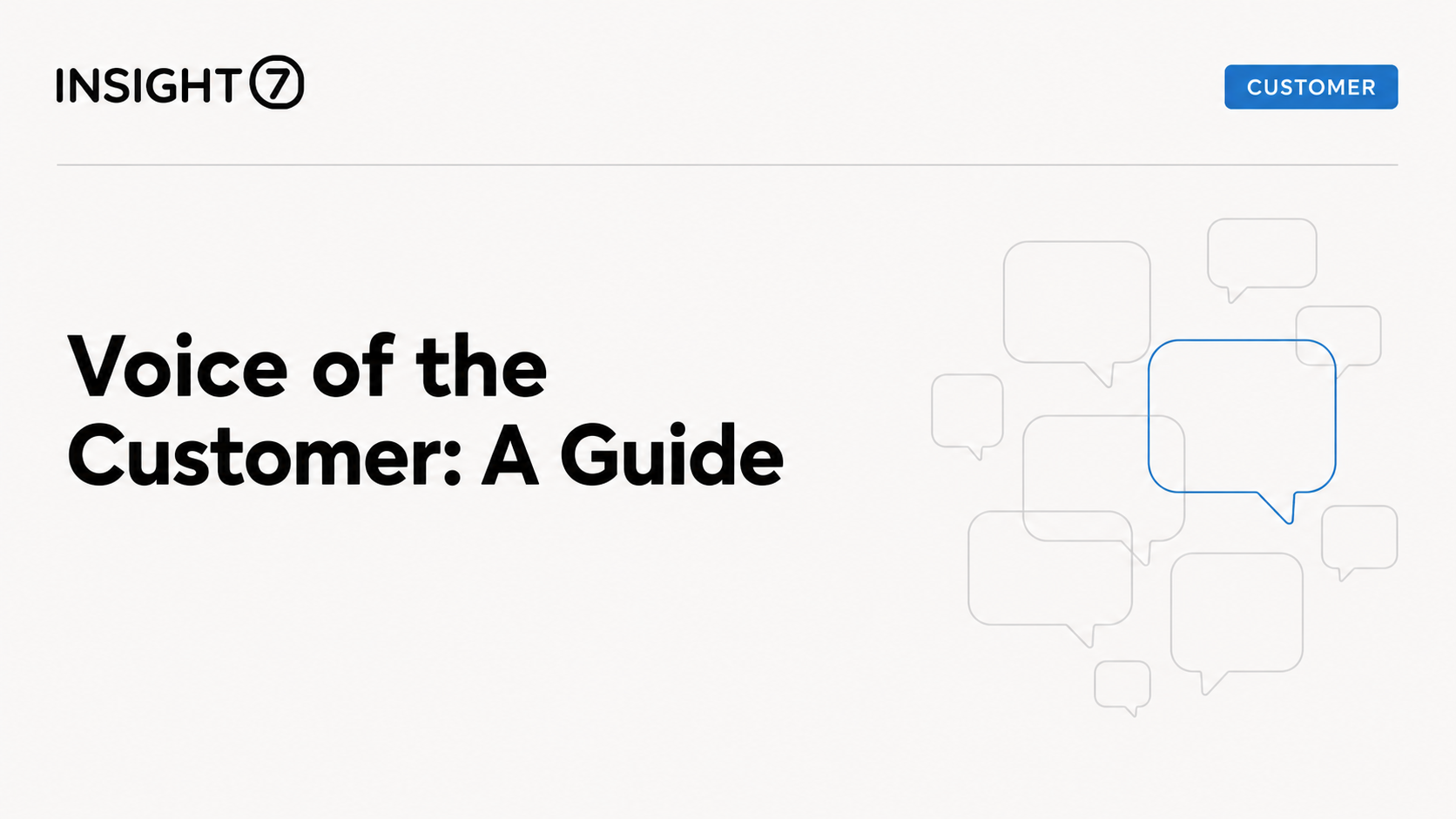 Voice of the Customer Guide